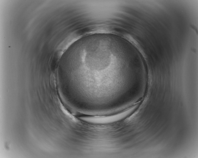 X0000099381433200805151608