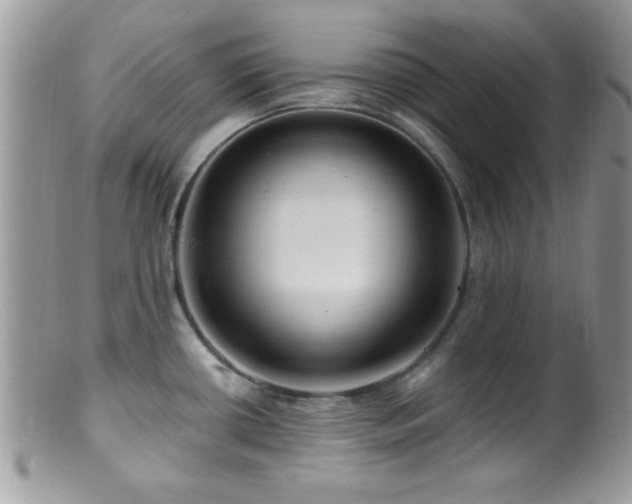 X0000099381434200805151608