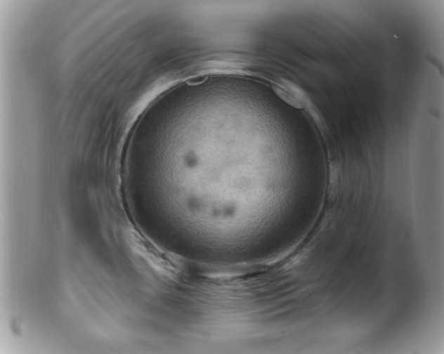 X0000099381435200805151608