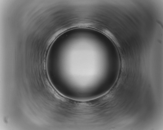 X0000099381436200805151608