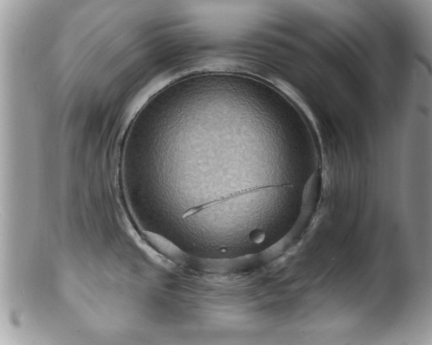 X0000099381437200805151608