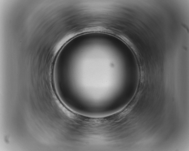 X0000099381438200805151608