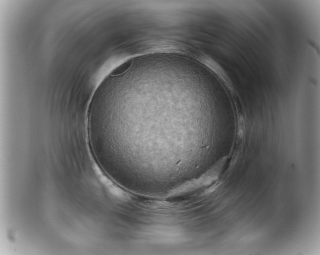 X0000099381439200805151608