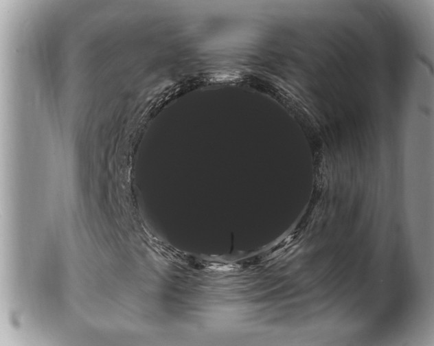 X0000099381441200805151607