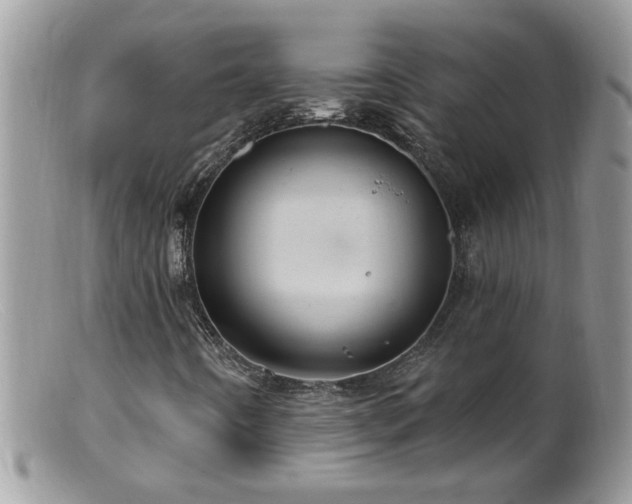 X0000099381442200805151607