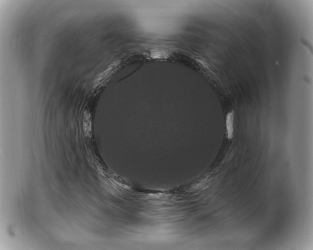 X0000099381443200805151607