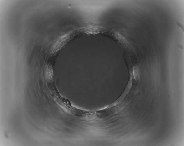 X0000099381444200805151607