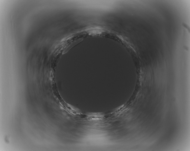 X0000099381445200805151607