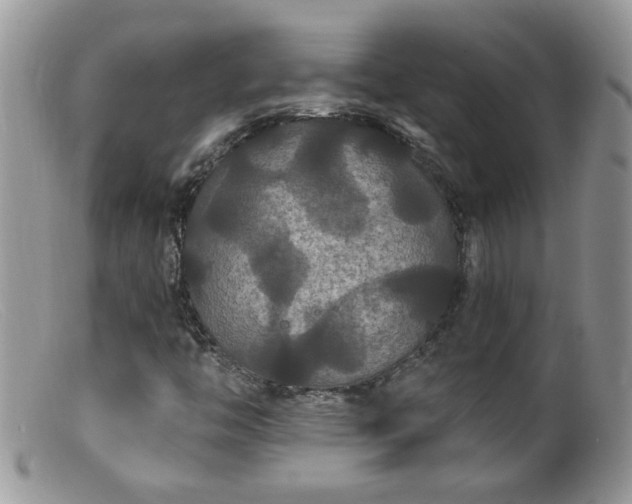 X0000099381446200805151607