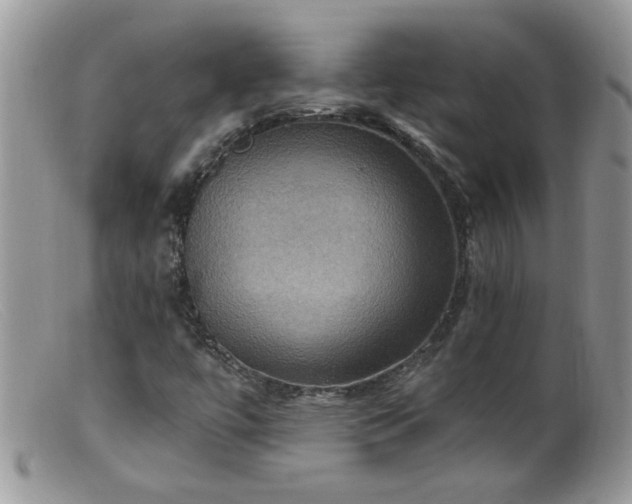 X0000099381447200805151607