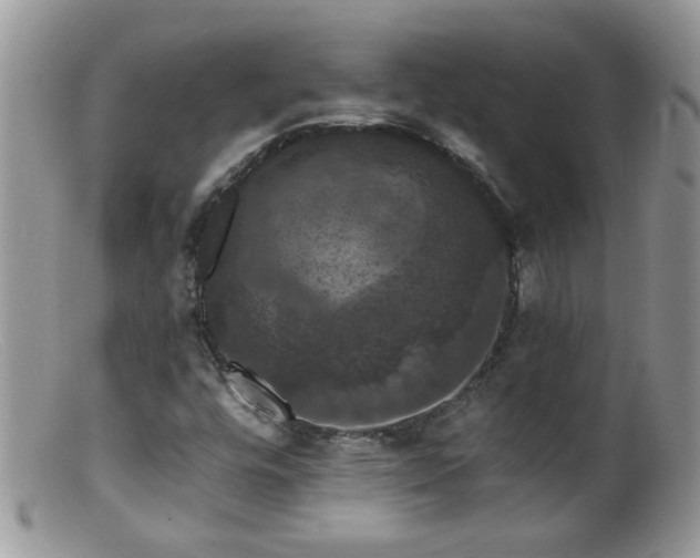 X0000099381448200805151607