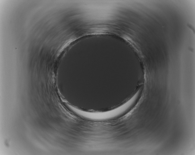 X0000099381449200805151607