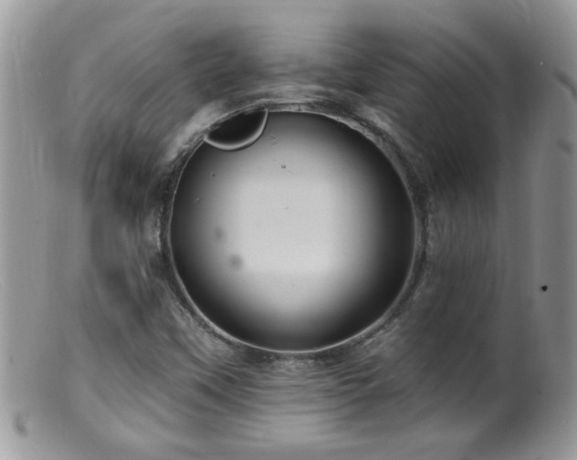 X0000099381451200805151607