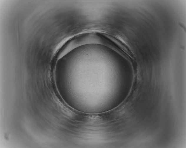 X0000099381452200805151607