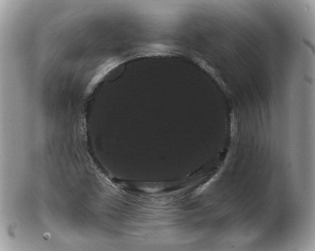 X0000099381453200805151607