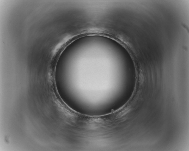 X0000099381454200805151607