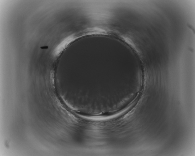 X0000099381455200805151607