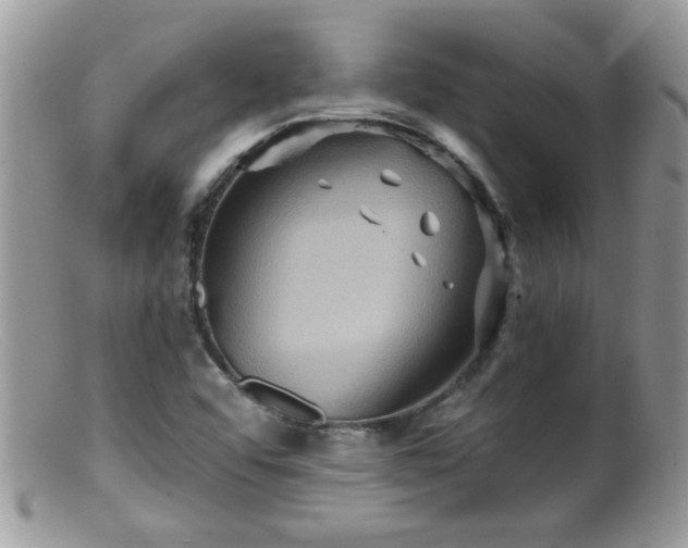 X0000099381456200805151607