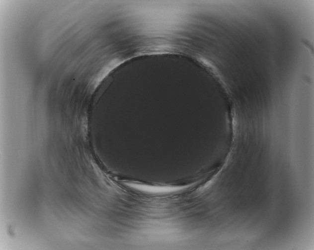 X0000099381457200805151607