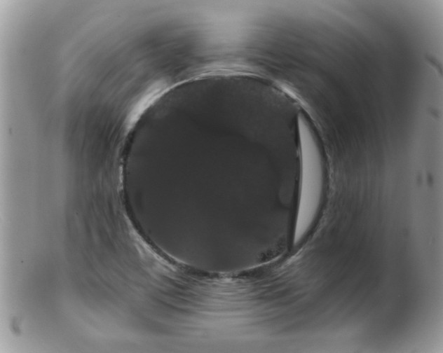 X0000099381459200805151607