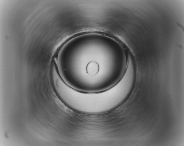 X0000099381460200805151607