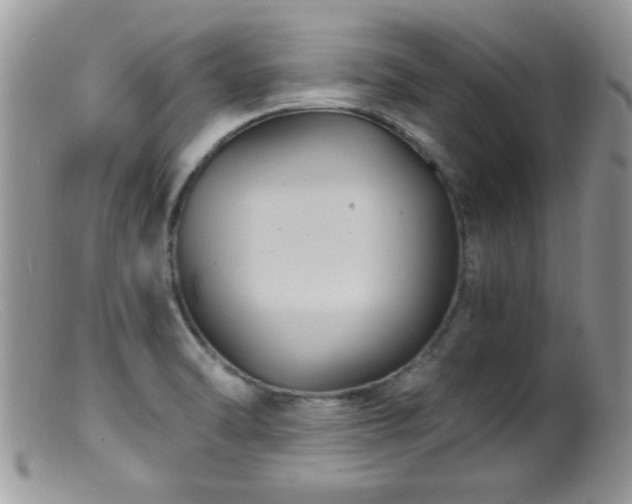 X0000099381470200805151606