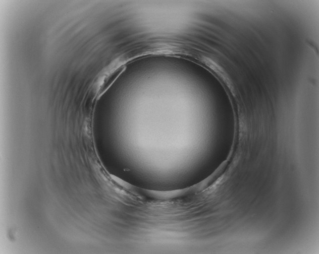 X0000099381481200805151606