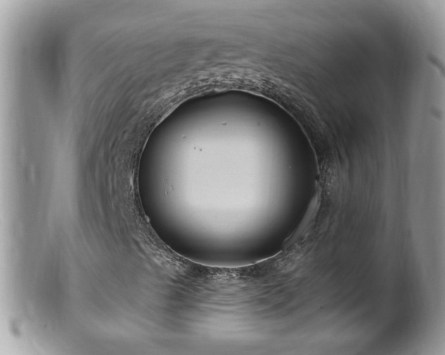 X0000099381489200805151605