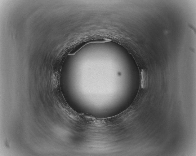 X0000099381491200805151605