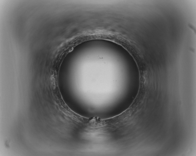 X0000099381493200805151605