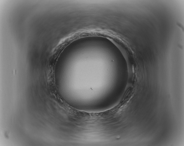 X0000099381494200805151605