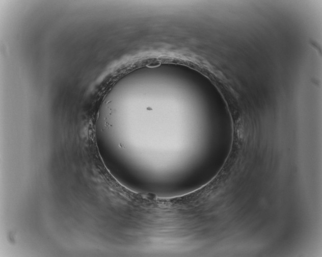 X0000099381495200805151605