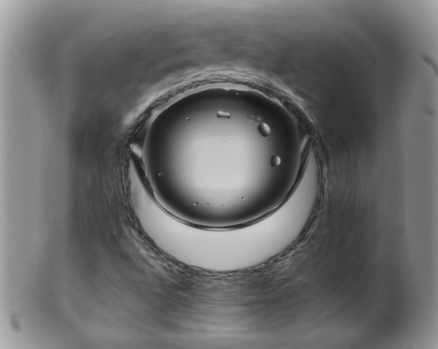 X0000099381496200805151605