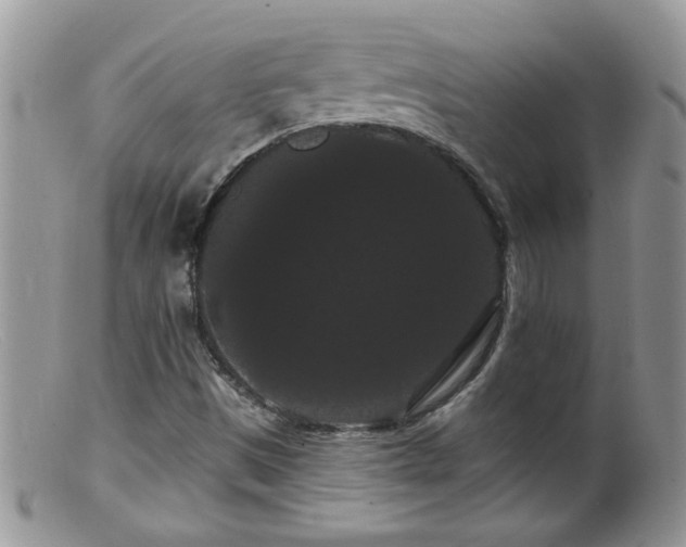 X0000099381497200805151605