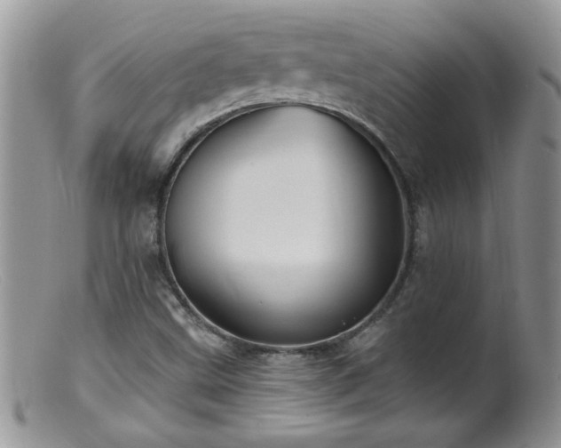 X0000099381499200805151605