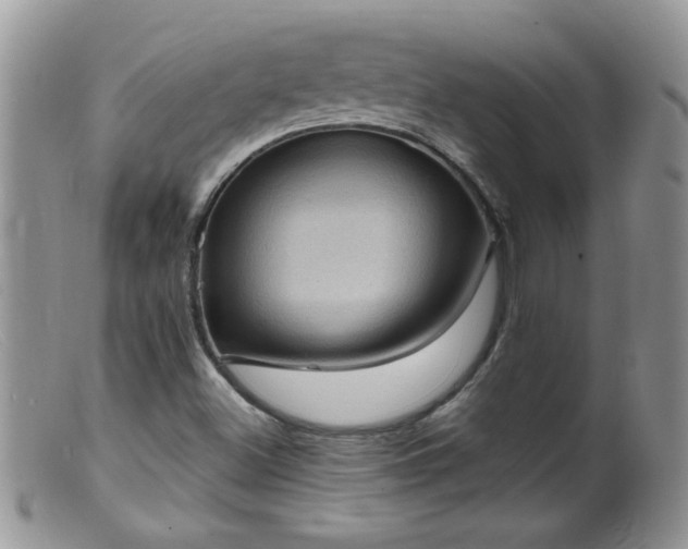 X0000099381500200805151605