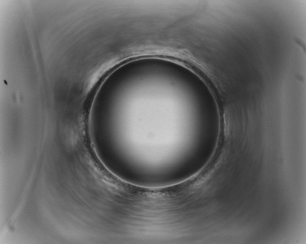 X0000099381501200805151605