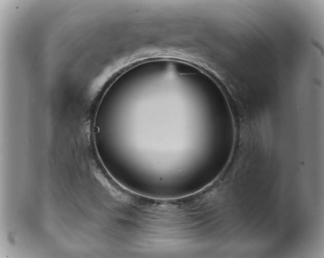 X0000099381503200805151605