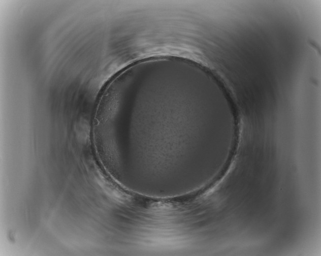 X0000099381505200805151605