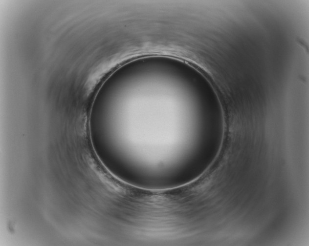 X0000099381507200805151605