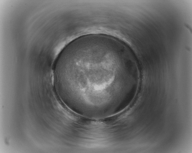 X0000099381509200805151605