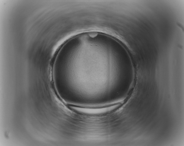 X0000099381510200805151606