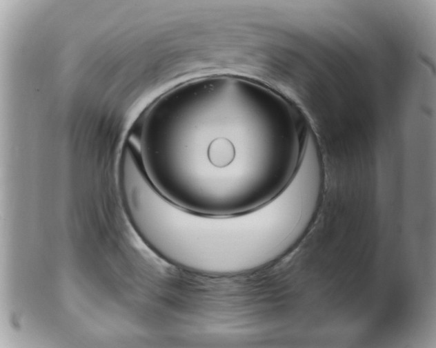 X0000099381516200805151606