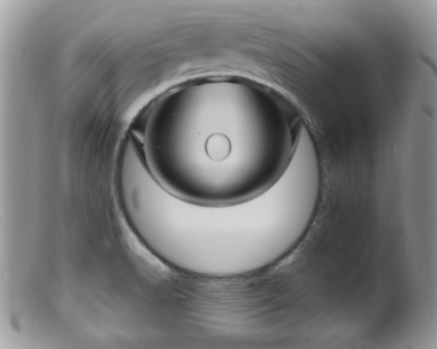 X0000099381518200805151606