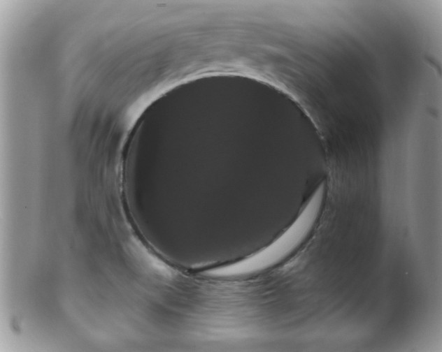 X0000099381519200805151606