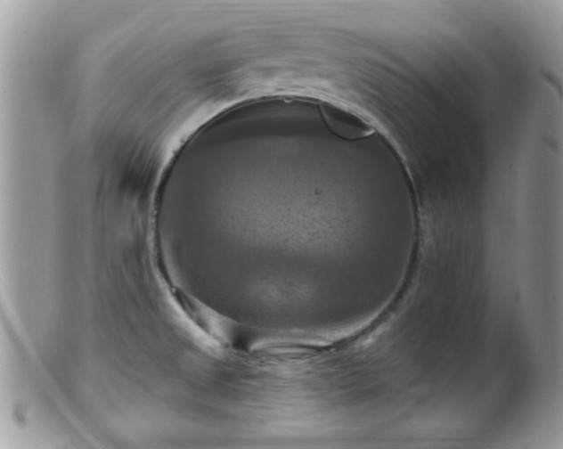 X0000099381525200805151606