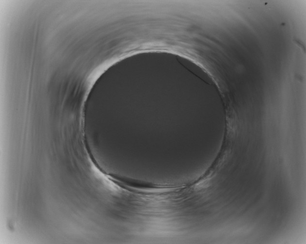 X0000099381527200805151606