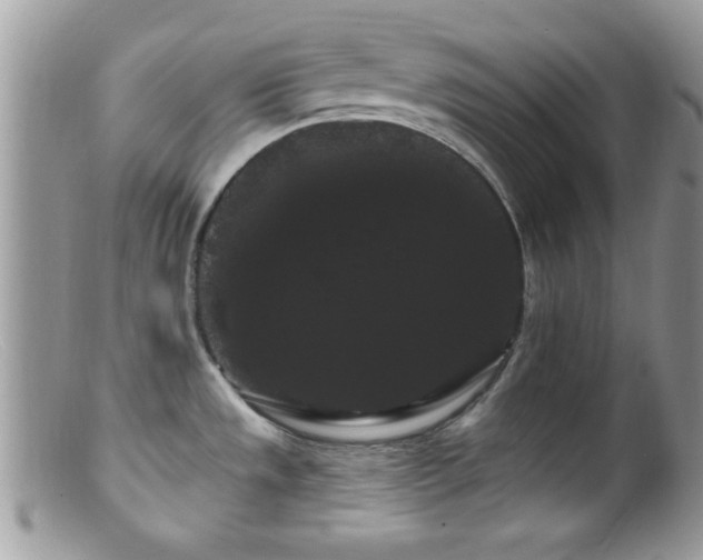 X0000099381533200805151606