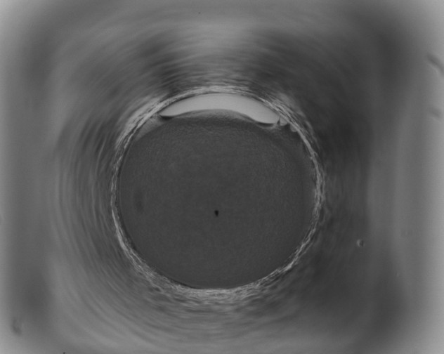 X0000099380001200805221817