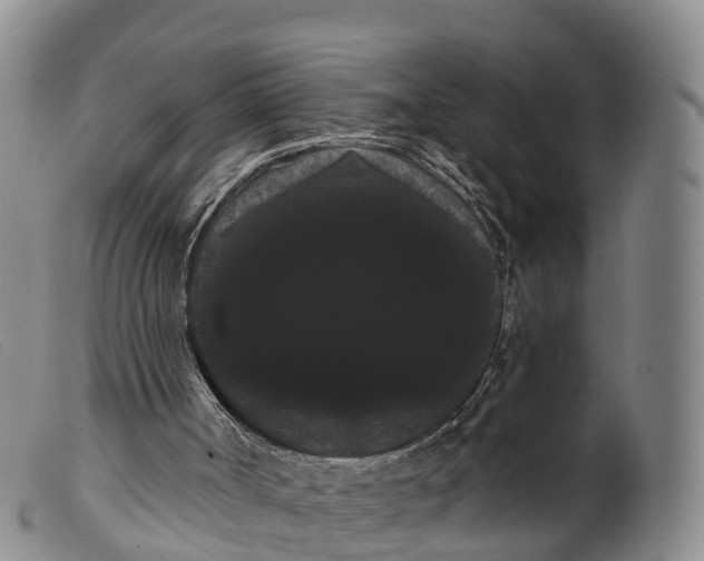 X0000099380002200805221817